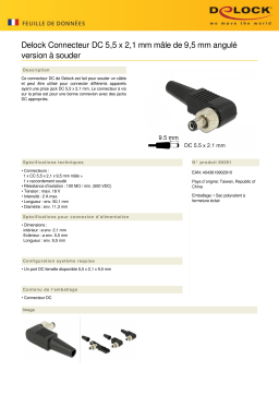 DeLOCK 90291 Connector DC 5.5 x 2.1 mm Fiche technique