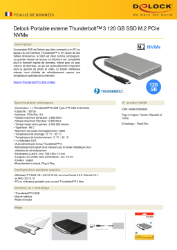DeLOCK 54060 Thunderbolt™ 3 External Portable 120 GB SSD M.2 PCIe NVMe Fiche technique