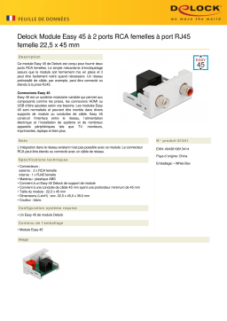 DeLOCK 81341 Easy 45 Module 2 x RCA female to RJ45 female port 22.5 x 45 mm Fiche technique