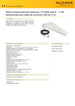 DeLOCK 12002 LTE Antenna SMA plug 9 - 11 dB directional Fiche technique