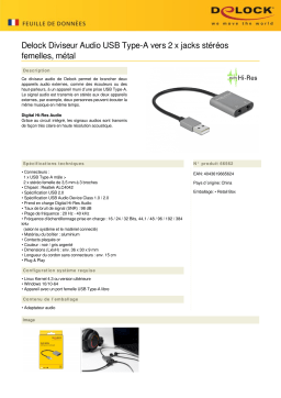 DeLOCK 66562 Audio Splitter USB Type-A to 2 x stereo jack female metal Fiche technique