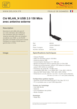 DeLOCK 88538 USB 2.0 WLAN_N Stick 150 Mb/s Fiche technique