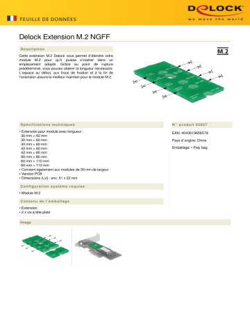 DeLOCK 65657 M.2 NGFF Extension Fiche technique | Fixfr