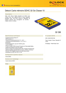 DeLOCK 55745 SDHC Card 32 GB Class 10 Fiche technique