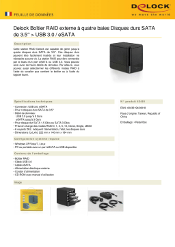 DeLOCK 42481 External 4-Bay Raid Box 3.5″ SATA HDD > USB 3.0 / eSATA Fiche technique