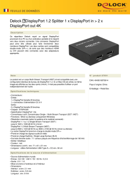 DeLOCK 87691 DisplayPort 1.2 Splitter 1 x DisplayPort in > 2 x DisplayPort out 4K Fiche technique