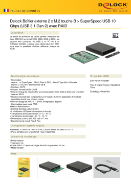 DeLOCK 42588 External Enclosure 2 x M.2 Key B > SuperSpeed USB 10 Gbps (USB 3.1 Gen 2) Fiche technique