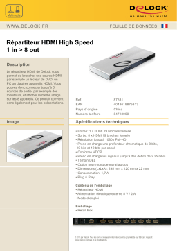 DeLOCK 87531 High Speed HDMI Splitter 1 in > 8 out Fiche technique