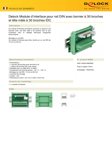 DeLOCK 66085 Interface Module for DIN Rail Fiche technique | Fixfr