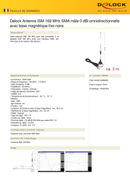 DeLOCK 88966 ISM 169 MHz Antenna SMA male 0 dBi omnidirectional Fiche technique