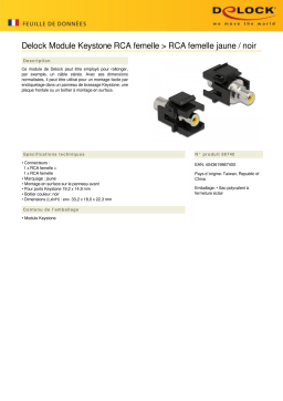 DeLOCK 86740 Keystone Module RCA female > RCA female yellow / black Fiche technique