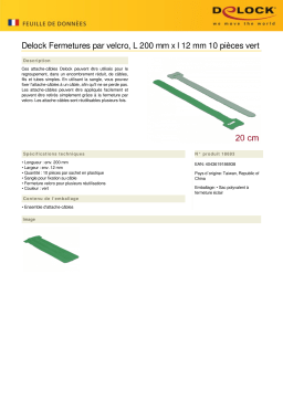 DeLOCK 18693 Hook-and-loop fasteners L 200 mm x W 12 mm 10 pieces green Fiche technique