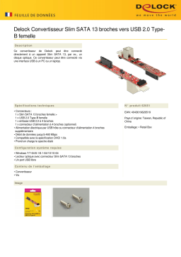 DeLOCK 62651 Converter Slim SATA 13 pin to USB 2.0 Type-B female Fiche technique