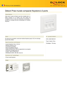 DeLOCK 86194 Keystone Wall Outlet 3 port compact Fiche technique