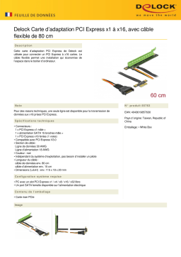 DeLOCK 85763 Riser Card PCI Express x1 to x16 Fiche technique