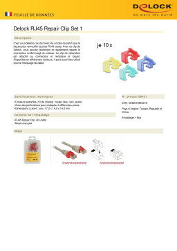 DeLOCK 86421 RJ45 Repair Clip 40 Pieces Set 1 (red, blue, green, yellow) Fiche technique