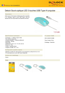 DeLOCK 12538 Optical 3-button LED Mouse USB Type-A turquoise Fiche technique