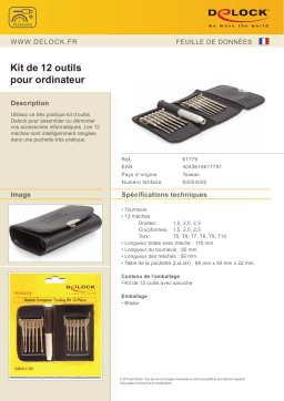 DeLOCK 61779 Computer Tooling Kit 12-Piece Fiche technique