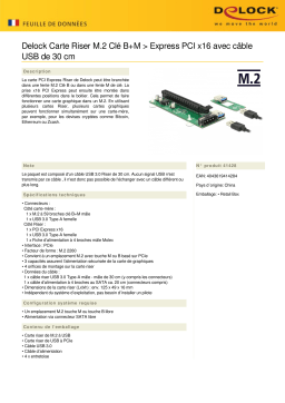 DeLOCK 41428 Riser Card M.2 Key B+M > PCI Express x16 Fiche technique