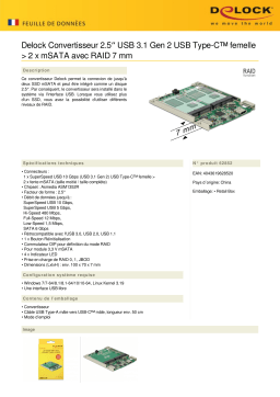 DeLOCK 62852 2.5″ Converter USB 3.1 Gen 2 USB Type-C™ female > 2 x mSATA Fiche technique