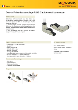 DeLOCK 86289 RJ45 Plug field assembly Cat.6A metal angled Fiche technique