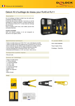 DeLOCK 86696 Network Toolkit for RJ45 and RJ11 Fiche technique