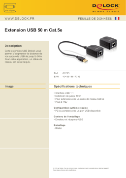 DeLOCK 61733 USB Extender 50 m Cat.5e Fiche technique