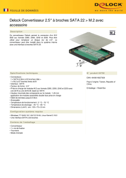 DeLOCK 62792 2.5″ Converter SATA 22 pin > M.2 Fiche technique