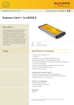 DeLOCK 61748 Express Card > 1x eSATA 3 Gb/s Fiche technique