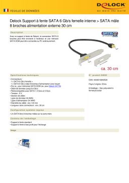 DeLOCK 84952 Slot bracket SATA 6 Gb/s receptacle internal > SATA male pin 8 power external 30 cm Fiche technique