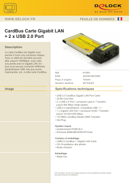 DeLOCK 61609 USB2.0 CardBus + Gigabit LAN Port Card Fiche technique