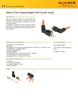 DeLOCK 86295 RJ45 Plug field assembly Cat.6A angled Fiche technique