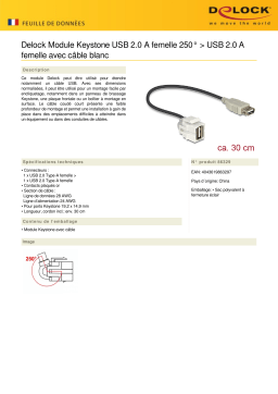 DeLOCK 86329 Keystone Module USB 2.0 A female 250° > USB 2.0 A female Fiche technique