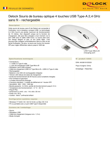 DeLOCK 12533 Optical 4-button USB Type-A Desktop Mouse 2.4 GHz wireless – rechargeable Fiche technique | Fixfr