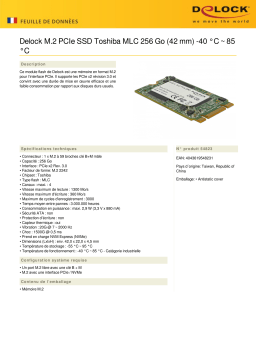 DeLOCK 54823 M.2 PCIe SSD Toshiba MLC 256 GB (42 mm) -40 °C ~ 85 °C Fiche technique