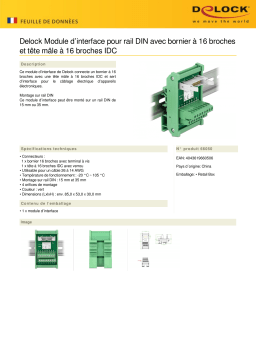 DeLOCK 66050 Interface Module for DIN Rail Fiche technique