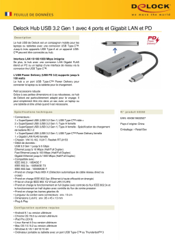 DeLOCK 63252 USB 3.2 Gen 1 Hub Fiche technique