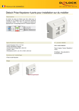 DeLOCK 86293 Keystone Outlet 4 Port for furniture installation Fiche technique