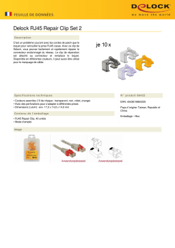 DeLOCK 86422 RJ45 Repair Clip 40 Pieces Set 2 (transparent, black, violet, orange) Fiche technique