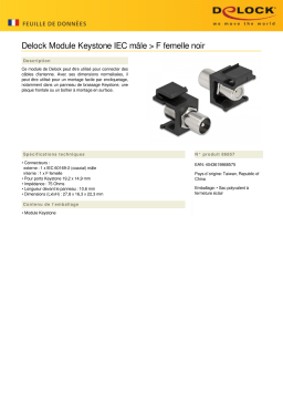 DeLOCK 86857 Keystone Module IEC male > F female black Fiche technique