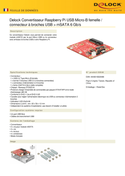 DeLOCK 62648 Converter Raspberry Pi USB Micro-B female / USB pin header > mSATA 6 Gb/s Fiche technique