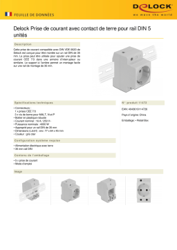 DeLOCK 11472 Power Socket Fiche technique