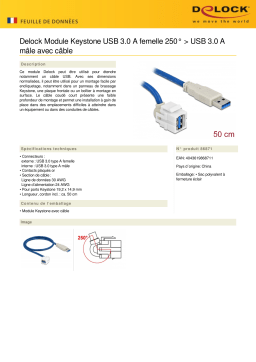 DeLOCK 86871 Keystone Module USB 3.0 A female 250° > USB 3.0 A male Fiche technique