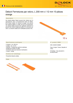 DeLOCK 18696 Hook-and-loop fasteners L 200 mm x W 12 mm 10 pieces orange Fiche technique