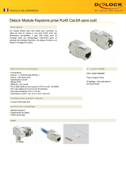 DeLOCK 86288 Keystone Module RJ45 jack Cat.6A toolfree Fiche technique