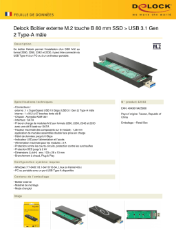 DeLOCK 42593 External Enclosure M.2 Key B 80 mm SSD > USB 3.1 Gen 2 Type-A male Fiche technique