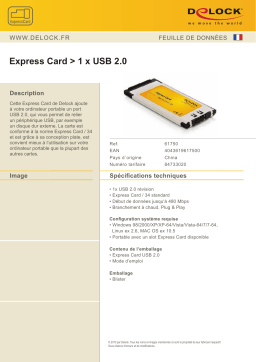 DeLOCK 61750 Express Card > 1 x USB 2.0 Fiche technique