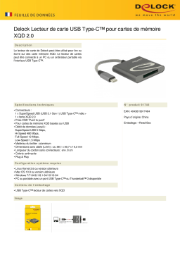 DeLOCK 91746 USB Type-C™ Card Reader for XQD 2.0 memory cards Fiche technique