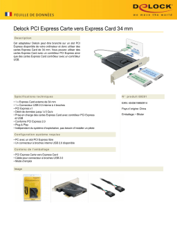 DeLOCK 89291 PCI Express card to Express Card 34 mm Fiche technique