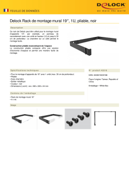 DeLOCK 43318 19″ Wall Mount Rack 1U foldable black Fiche technique